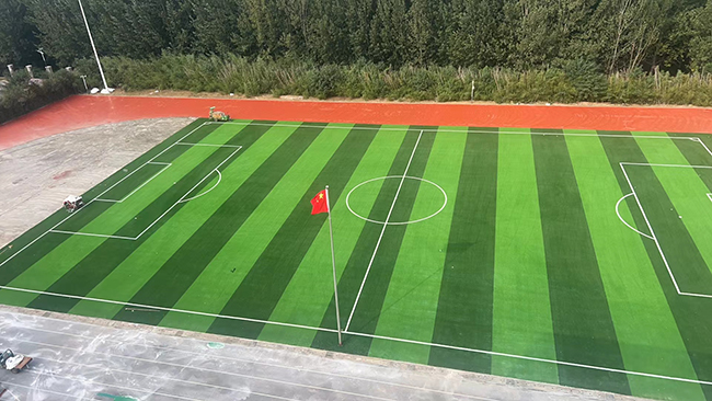  當(dāng)學(xué)校塑膠跑道在冬季出現(xiàn)裂縫的問(wèn)題時(shí)，應(yīng)該怎么處理？